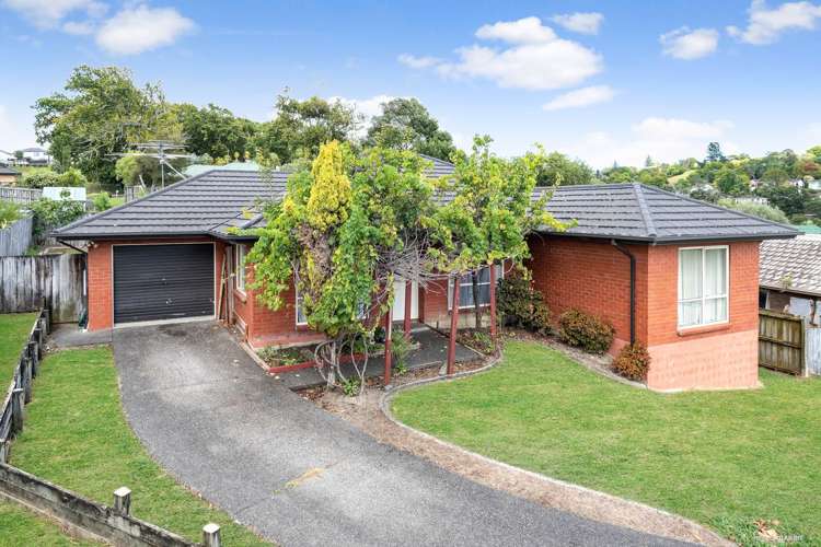 56 Hewlett Road Massey_7