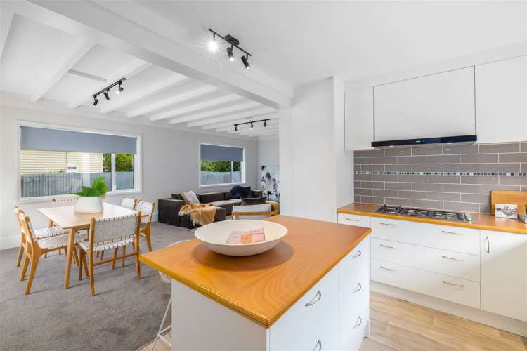 19 Domain Terrace Spreydon_3