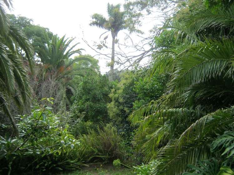 3a Dominion Road Kaitaia_18