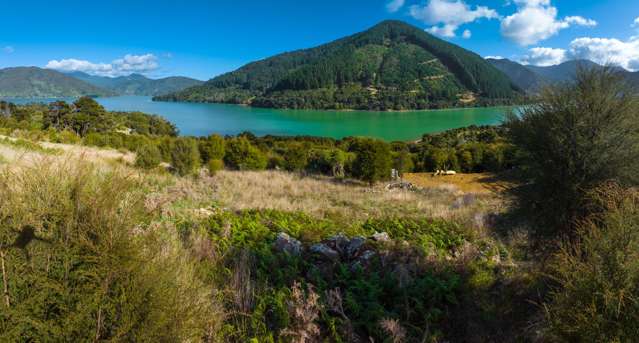 2646 Kaiuma Bay Kaiuma Bay_4