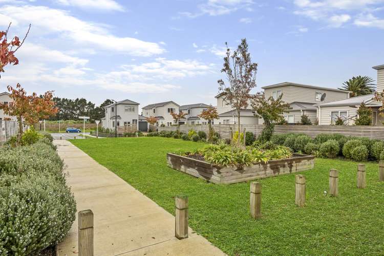 37 Divide Loop Takanini_16