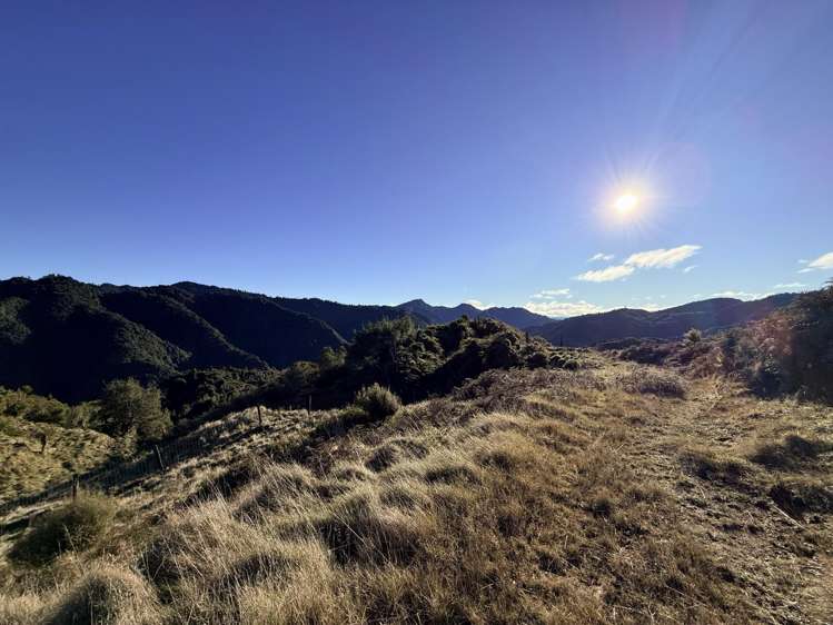 7957 State Highway 2 Opotiki Surrounds_19