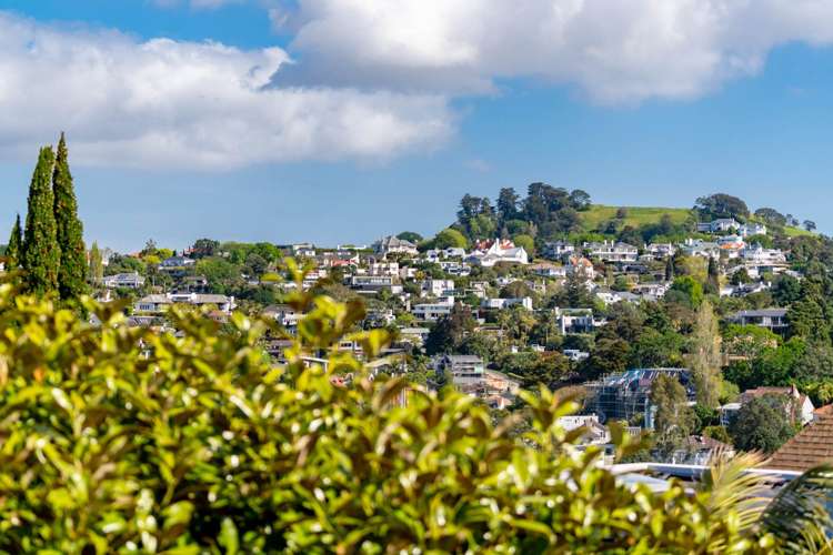 15 Elam Street Parnell_30