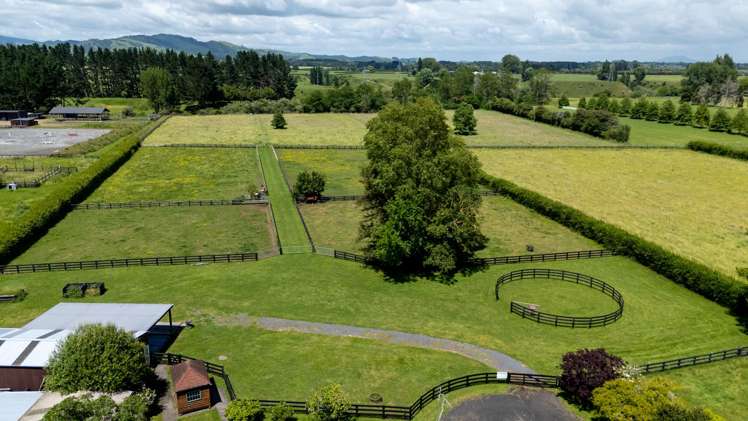 146 French Pass Road Cambridge_16