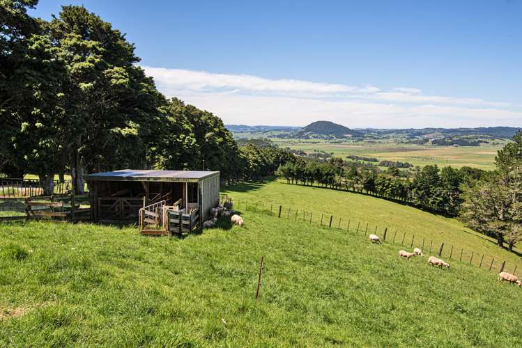 137 Going Road Matarau_33