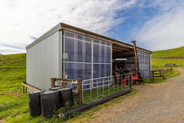 79 Dorset Road Hillsborough_33
