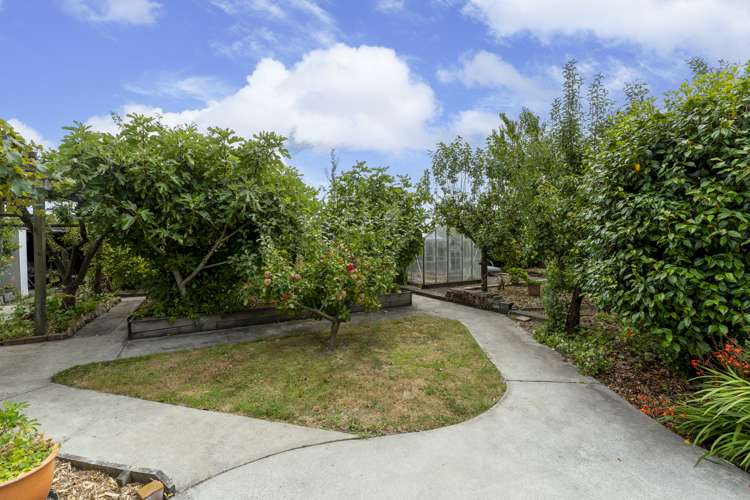 157 Centaurus Road Saint Martins_10