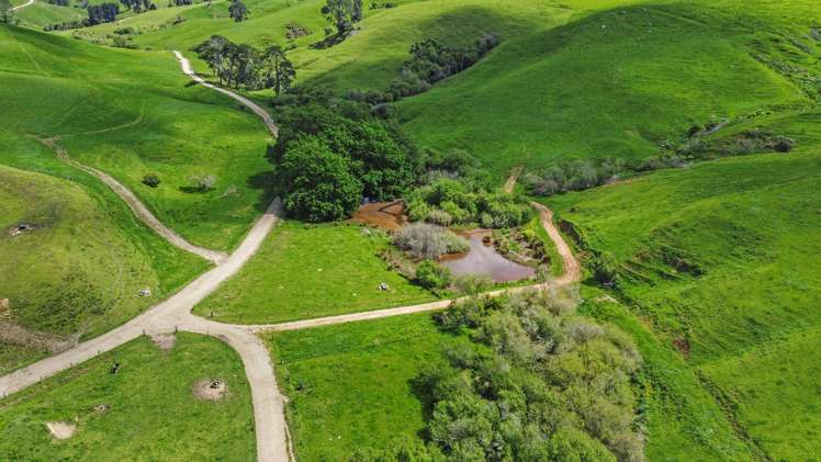 258 Paratu West Road Richmond Downs_20