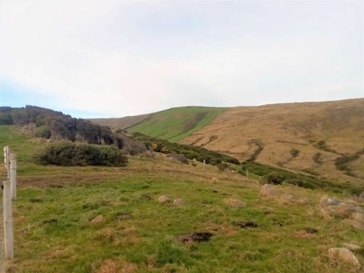 265 Glenfalloch Road Catlins Surrounds_10