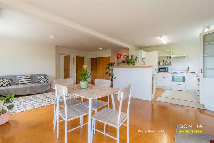 41 & 41A Budgen Street Mount Roskill_12