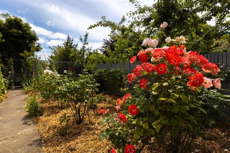 10 Bank Street Springlands_16