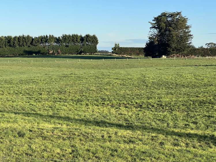 35 Heads Road Woodlands_5