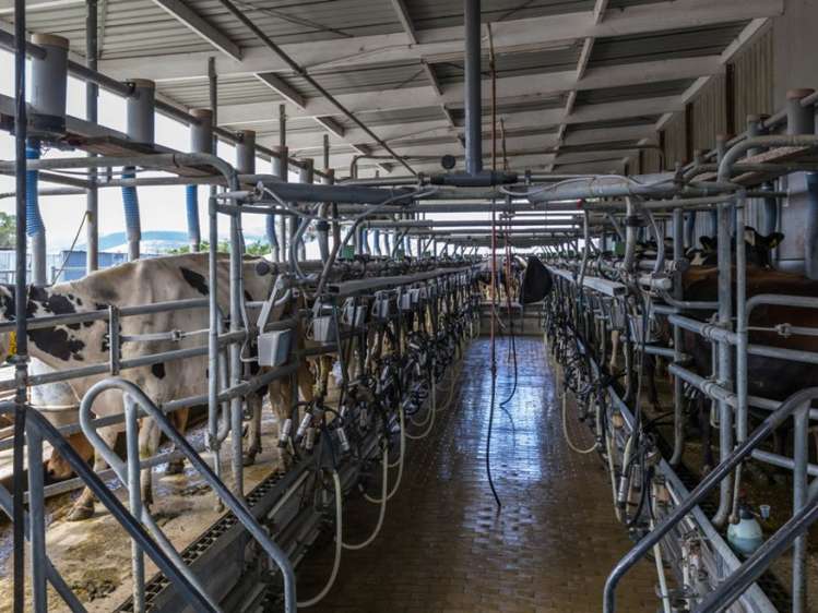 939 Hudsons Road Motukarara_7