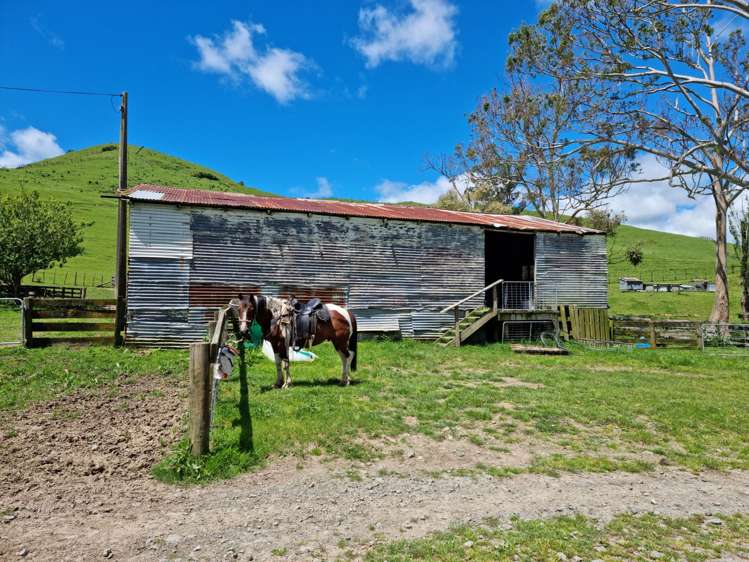 852 Mangawara Road Tahuna_14