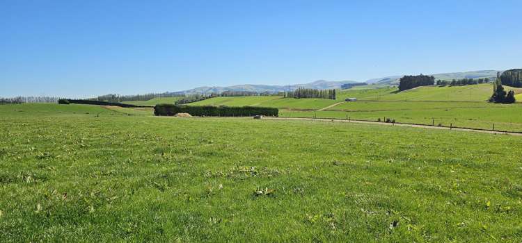 465 Adam Fleming Road Crossans Corner_22