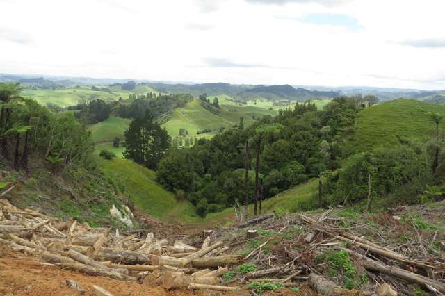 Waitomo Valley Road Otorohanga_4