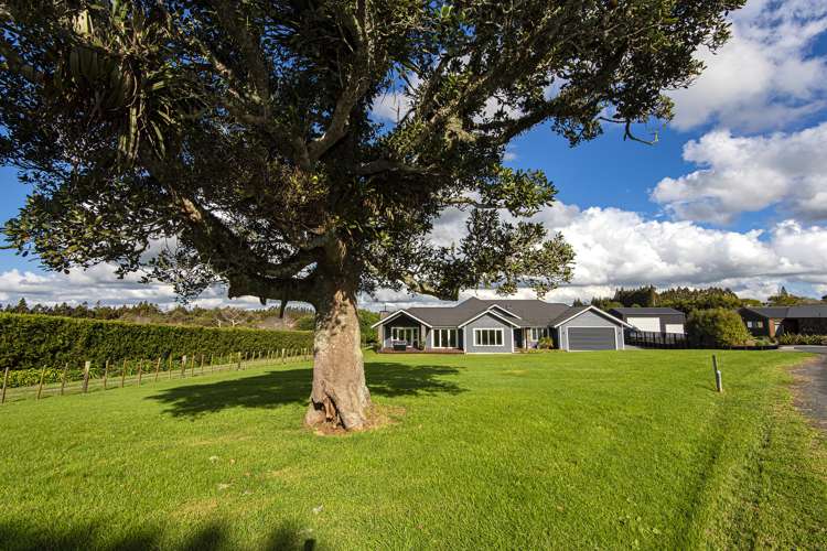 103 Millington Road Maunu_24