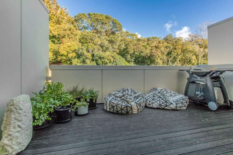 26/27 Birdwood Crescent Parnell_3