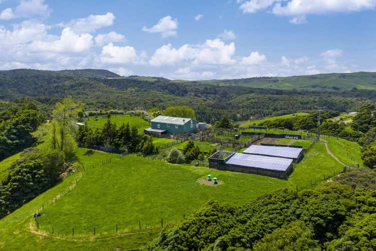 Te Akau Coast Road Te Akau_13