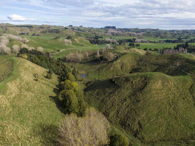 133 Mania Road Rangiwahia_11