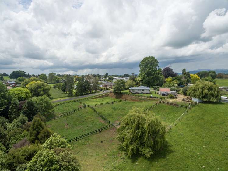 41 Sheehan Street Kihikihi_12