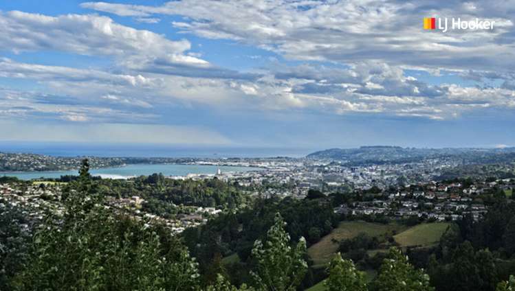 18 Dalrymple Street Pine Hill_5