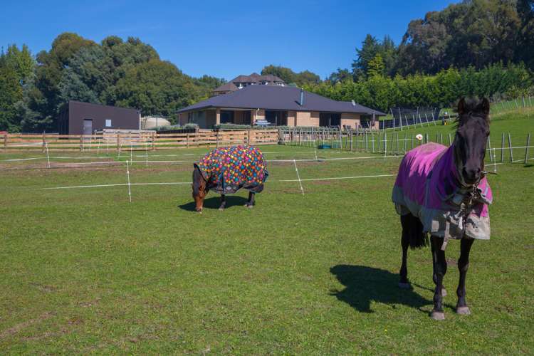 398 Ben Morven Road Fairhall_15