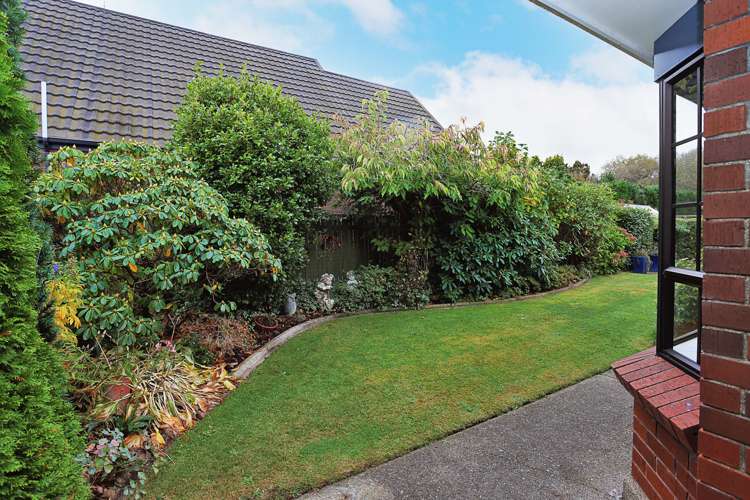 49b Racecourse Road Glengarry_5