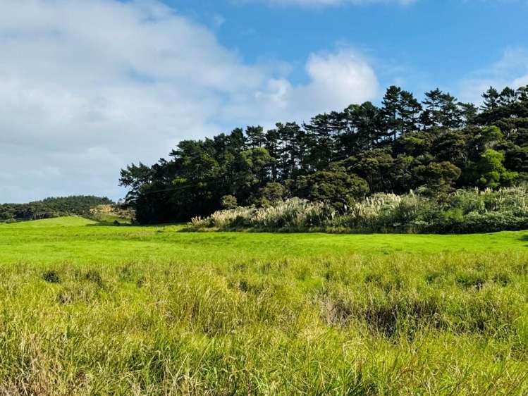 Lot 1/3233 State Highway 1 Pukenui_14