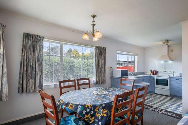 65 Winchester Street Levin_3