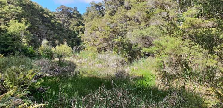 448 Moir Hill Road Warkworth_12