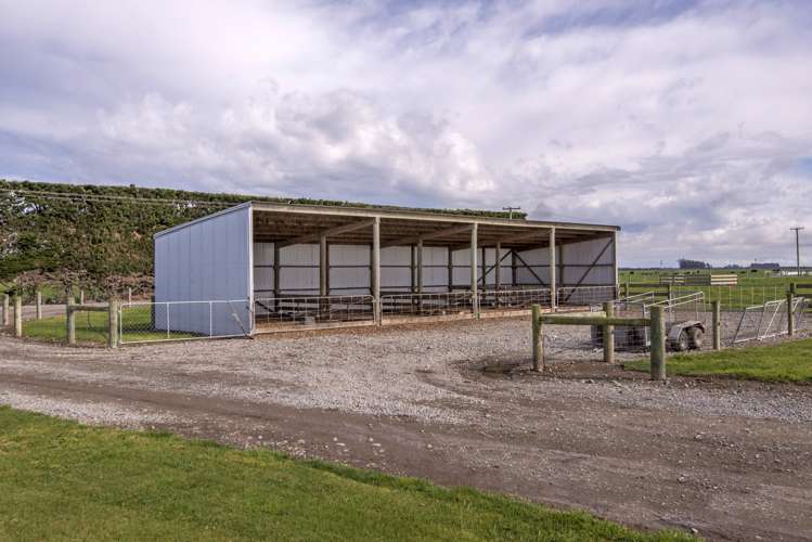 897 Buckleys Road Wakanui_18