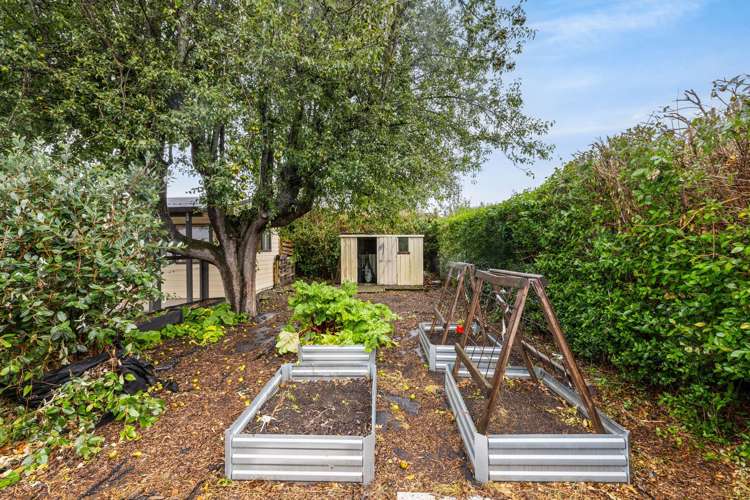 19 Belfield Street Dallington_18