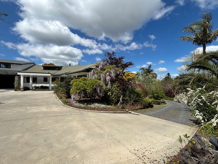 1 Palm Drive Kerikeri_2