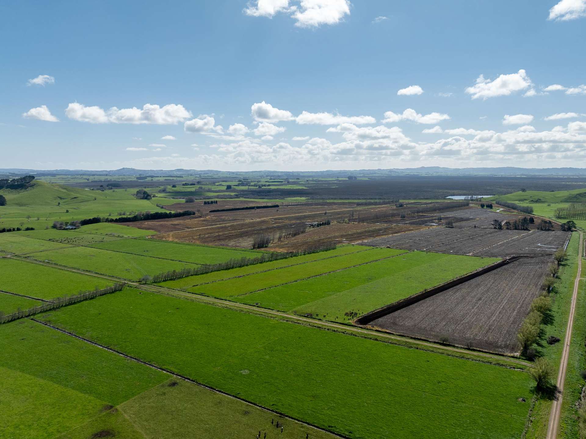 Belcher Road Te Kauwhata_0