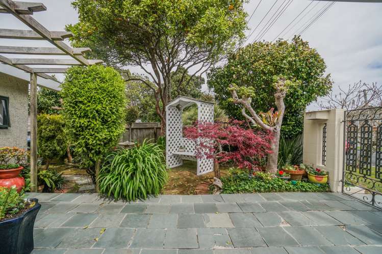 27 Frederick Street Hillsborough_5