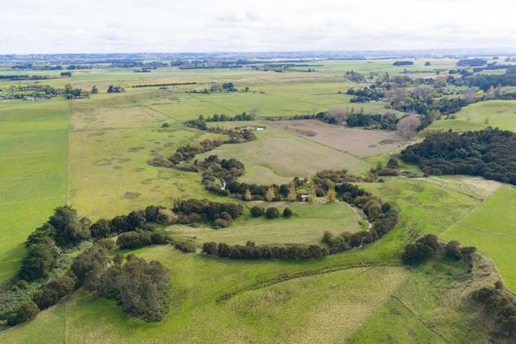 620 Taonui Road Colyton_12