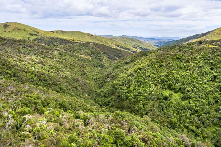 671 Saunders Road Tiraumea_9