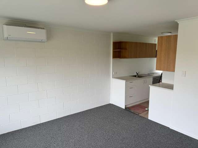 1C Cameron Road Hamilton East_2