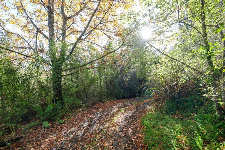 197 Henley Road Henley_12