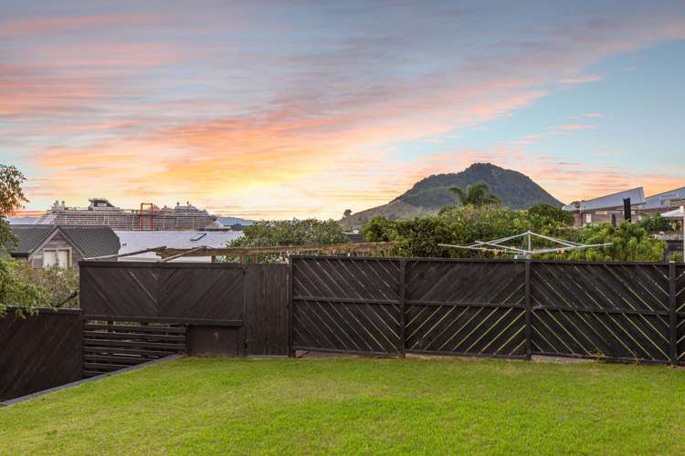 23 Terrace Avenue Mt Maunganui_23