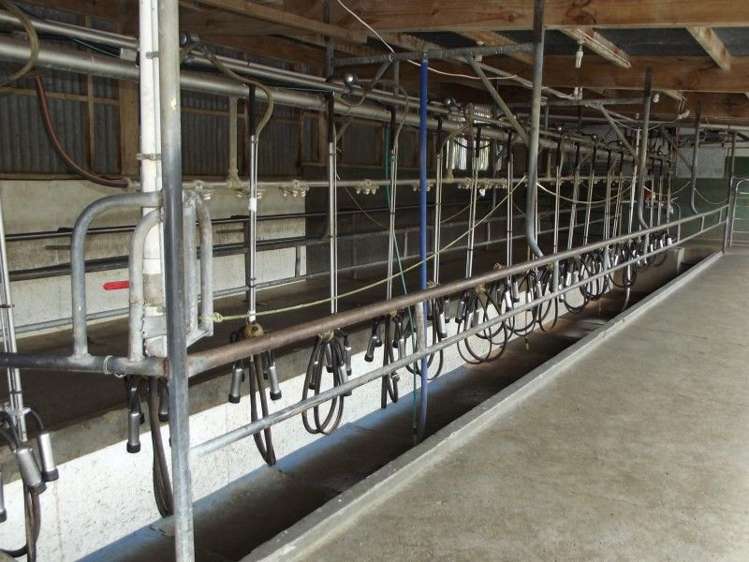 678 Wingrove Road Stratford_10