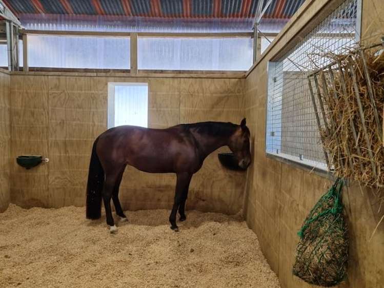 475 Ellesmere Road Lincoln_11