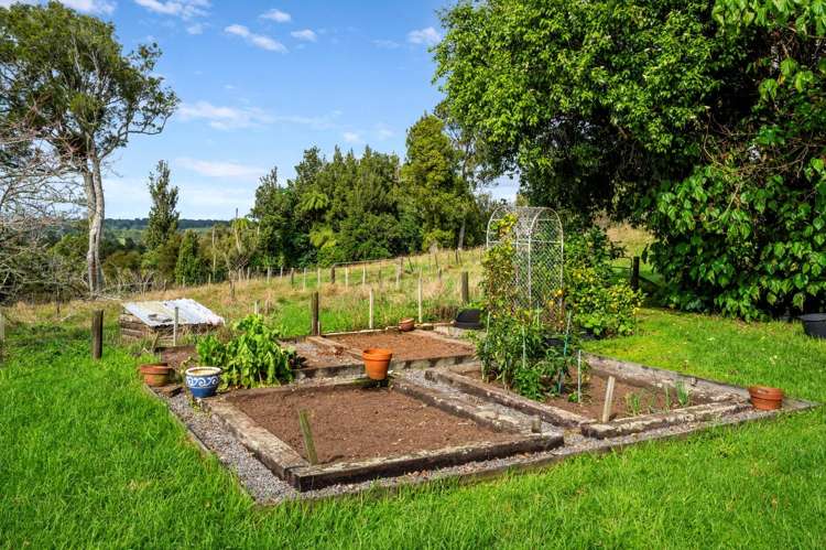 751 Esdaile Road Whakamarama_27