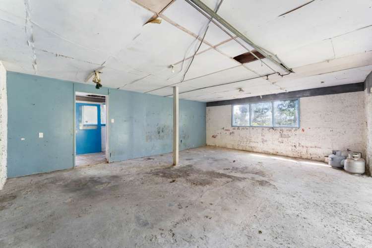 81 Don Buck Road Massey West_14