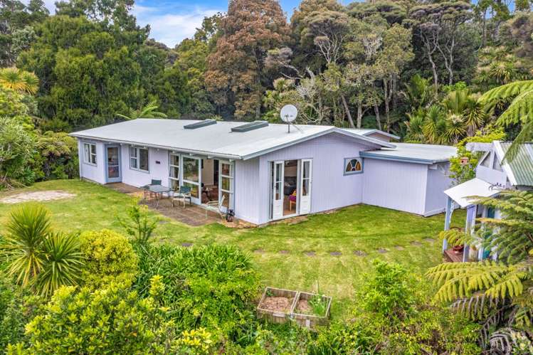 90 Lone Kauri Road Karekare_21