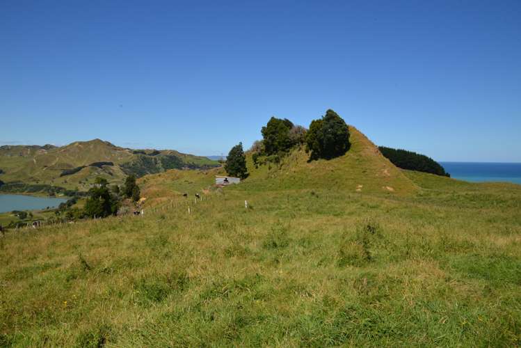 State Highway 3 Mokau_5