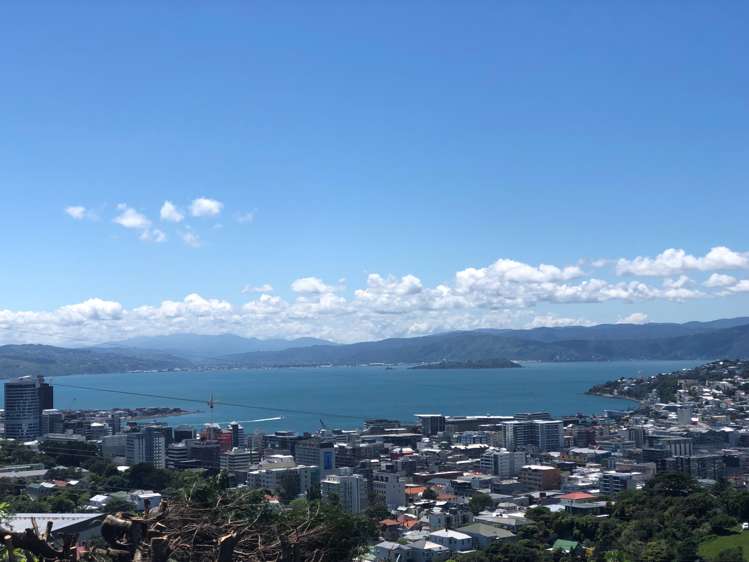 76 Mortimer Terrace Brooklyn_2