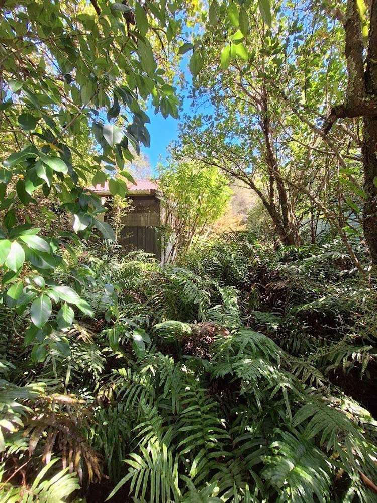 162 Blandswood Road Peel Forest_7