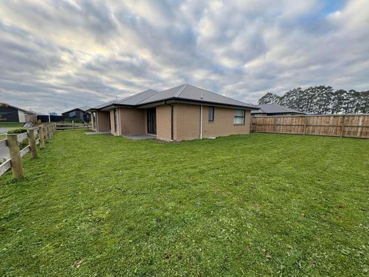  33 Cooney Avenue Darfield_9